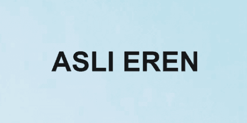 Aslı Eren Personal Website project image