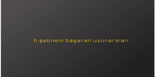 H.Şebnem Başaran Uzunarslan project image