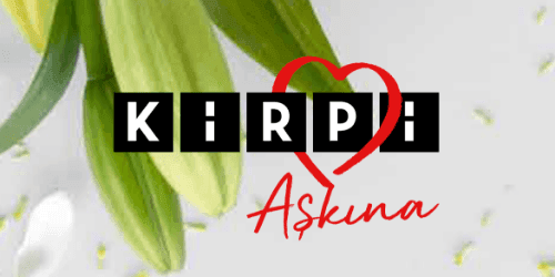 Kirpi Cafe project image